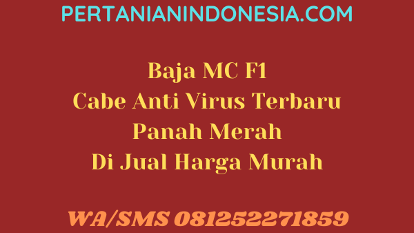 Baja MC F1 Cabe Anti Virus Terbaru Panah Merah Di Jual Harga Murah